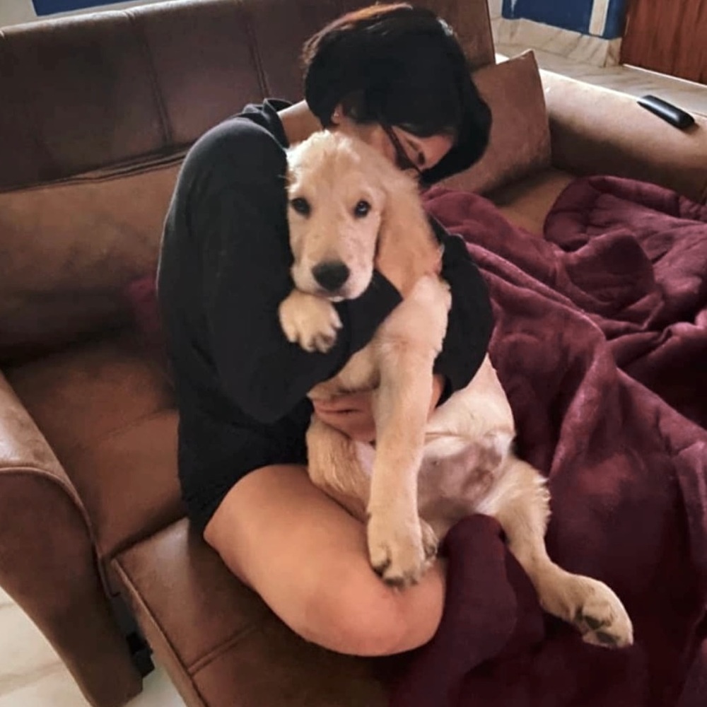 HELLOOOO CUTIES! - Picture 1 of 1